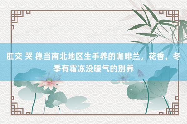 肛交 哭 稳当南北地区生手养的咖啡兰，花香，冬季有霜冻没暖气的别养