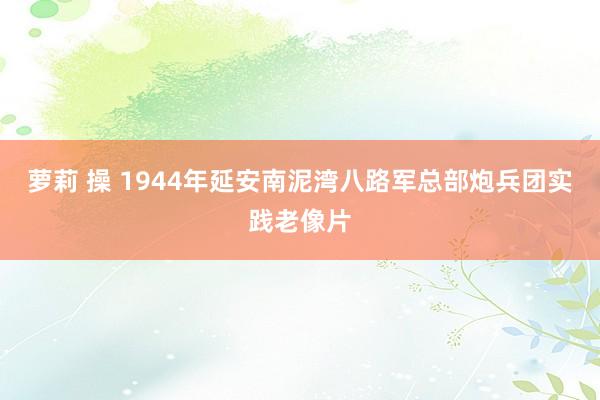 萝莉 操 1944年延安南泥湾八路军总部炮兵团实践老像片