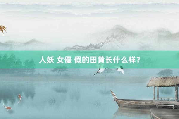 人妖 女優 假的田黄长什么样？