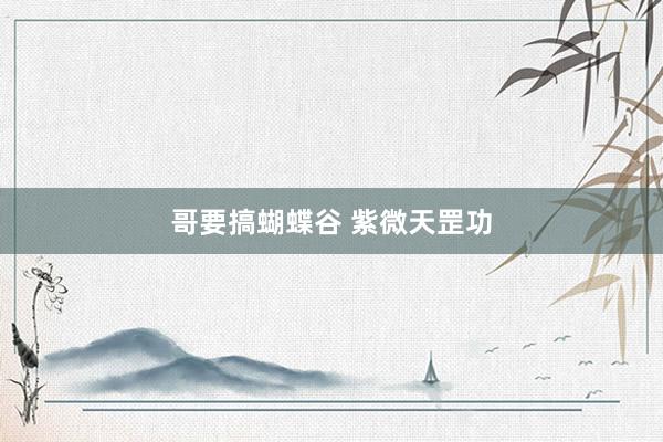 哥要搞蝴蝶谷 紫微天罡功
