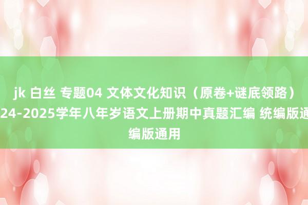 jk 白丝 专题04 文体文化知识（原卷+谜底领路）2024-2025学年八年岁语文上册期中真题汇编 统编版通用