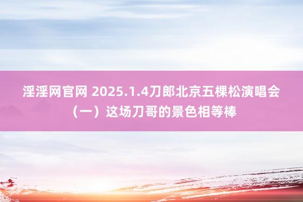 淫淫网官网 2025.1.4刀郎北京五棵松演唱会（一）这场刀哥的景色相等棒