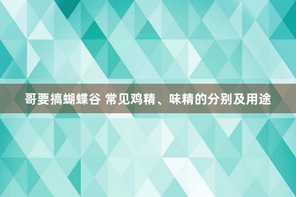 哥要搞蝴蝶谷 常见鸡精、味精的分别及用途